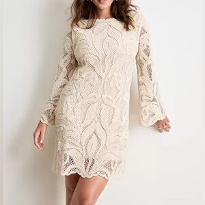 On 34th Women's Lace Shift Beige Mini Dress